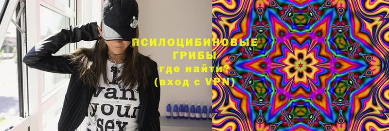 Псилоцибиновые грибы Psilocybine cubensis  Балабаново 